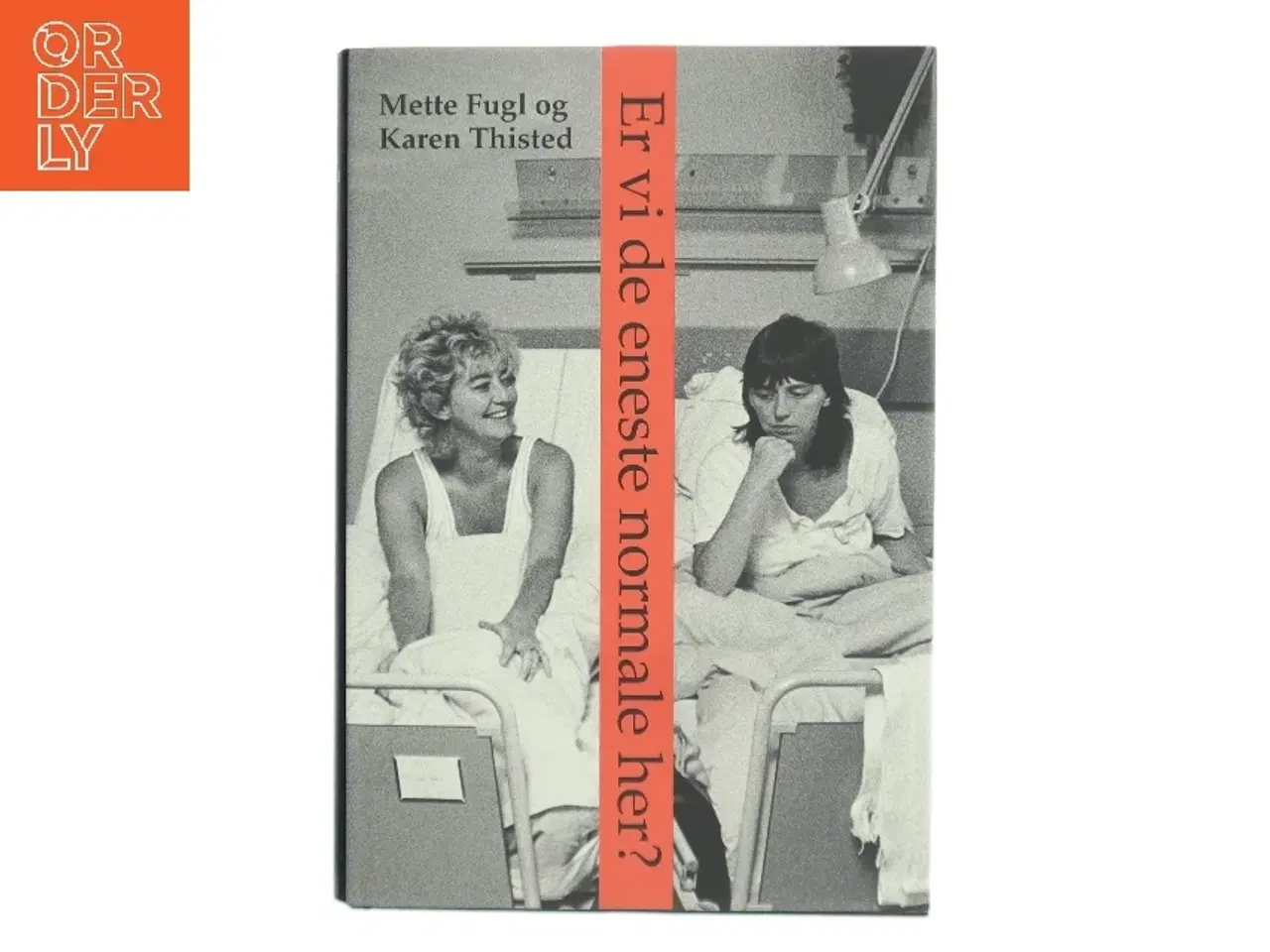 Billede 1 - Er vi de eneste normale her? : noter, anekdoter og samtaler om visse erindringer (Bog)