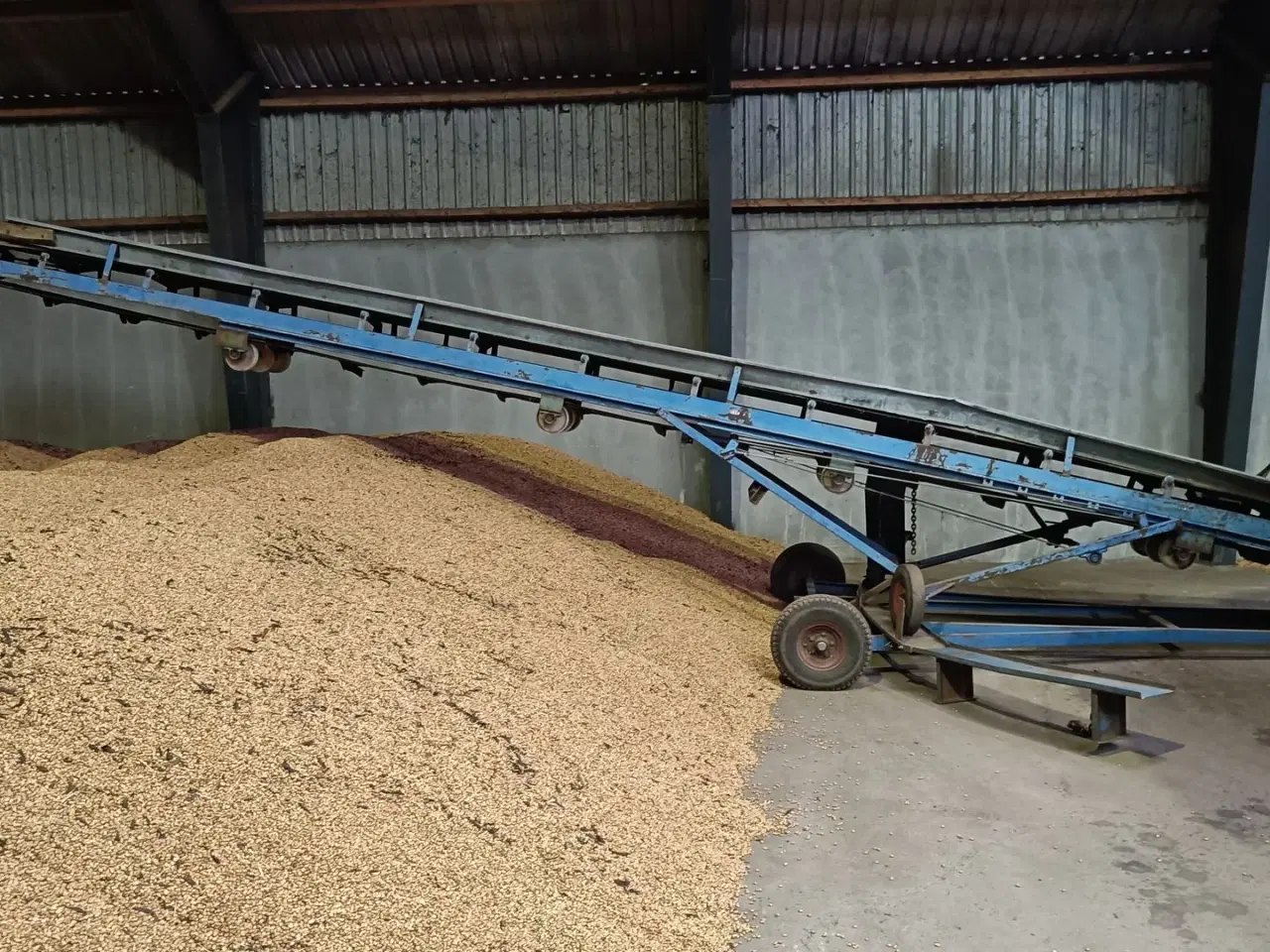 Billede 2 - - - - Kartoffel bånd svingbart