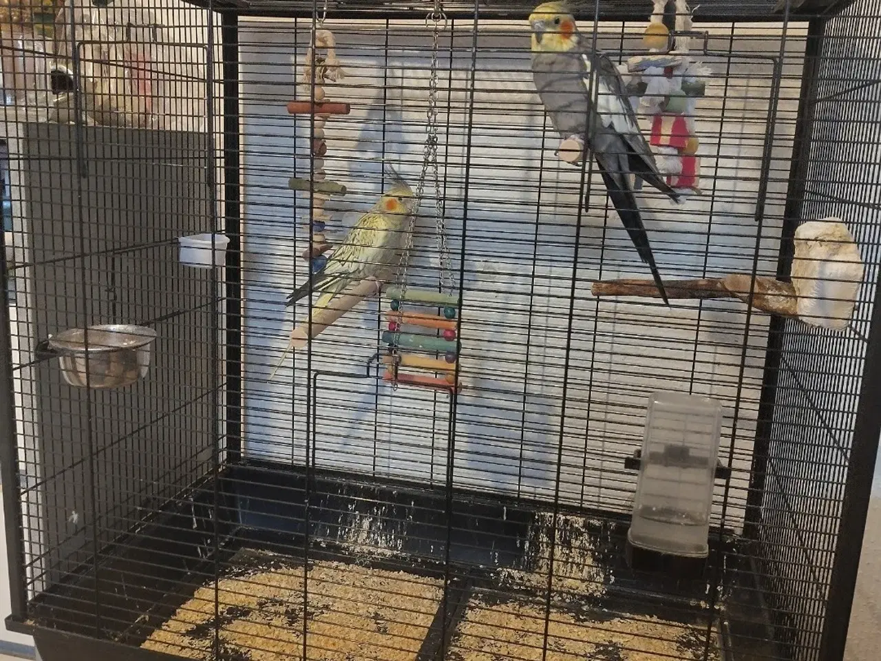 Billede 1 - Søde nymfer