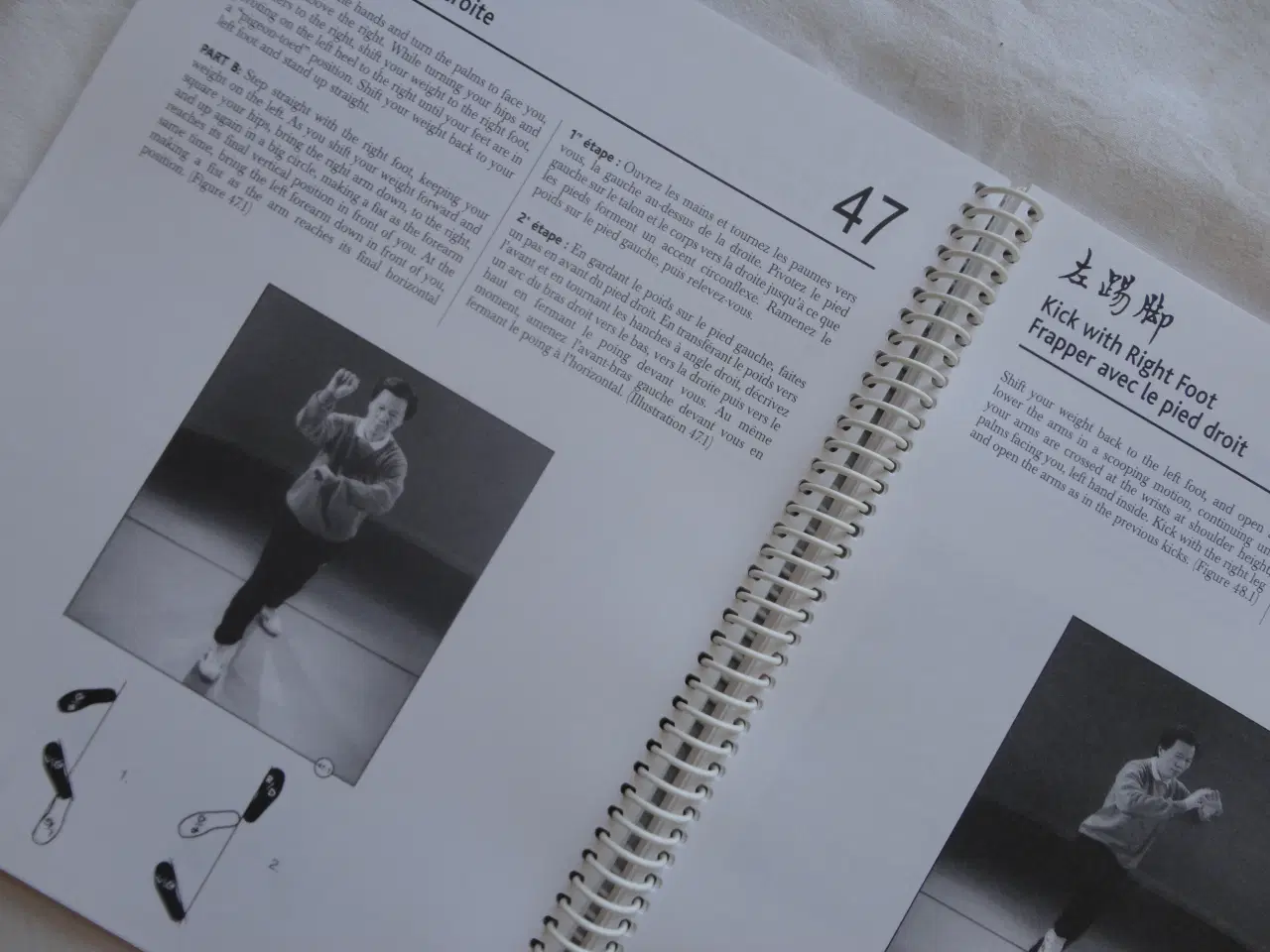 Billede 4 - The Art of Taoist Tai Chi []
