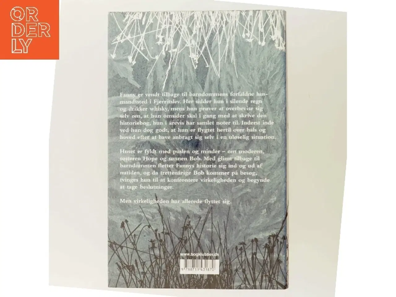 Billede 3 - Skjul af Trisse Gejl (Bog)