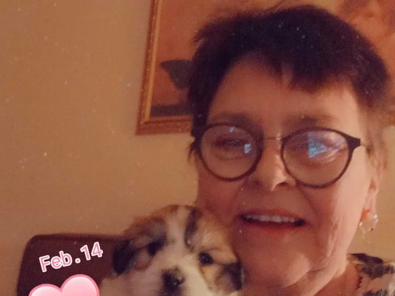 Billede 11 - Cotonese Hvalpe 