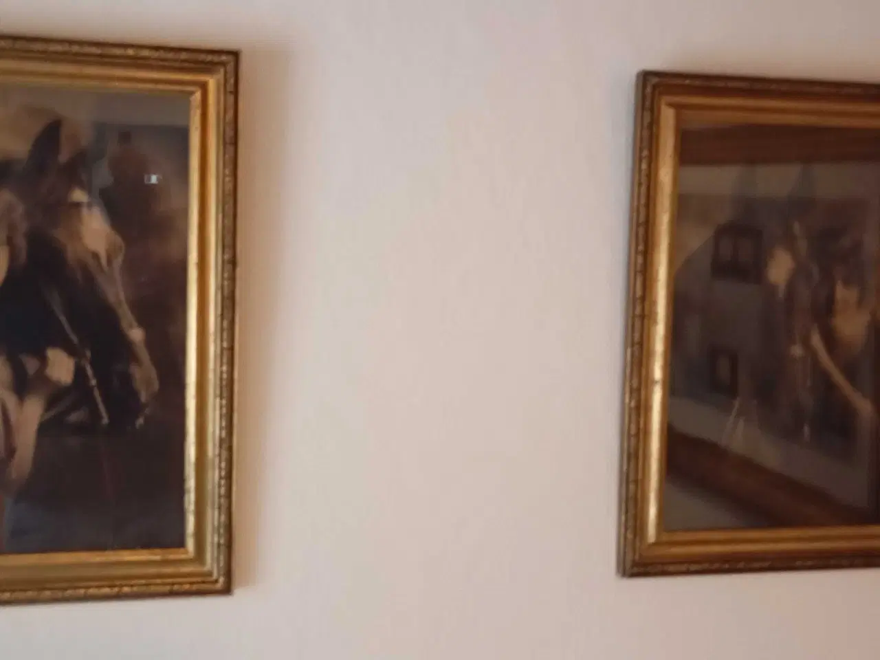 Billede 5 - Antikke gamle billeder af kvinder og heste