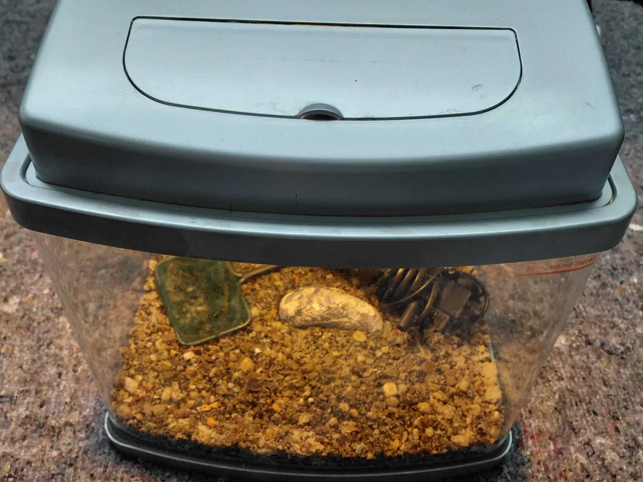 Billede 4 - Akvarier 20L 