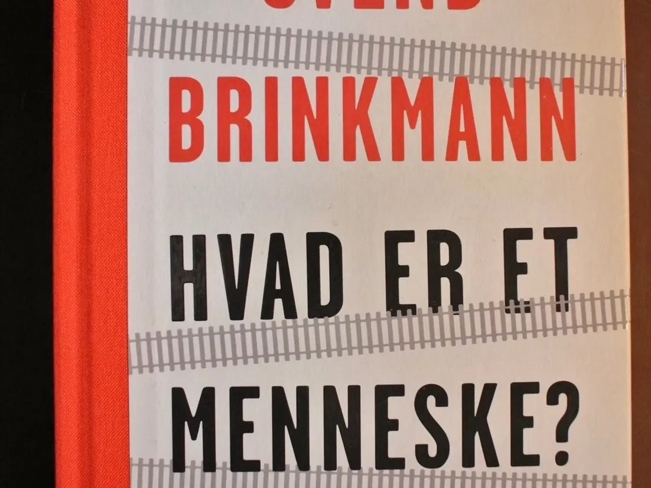 Billede 1 - hvad er et menneske - en filosofisk dannelsesrejse