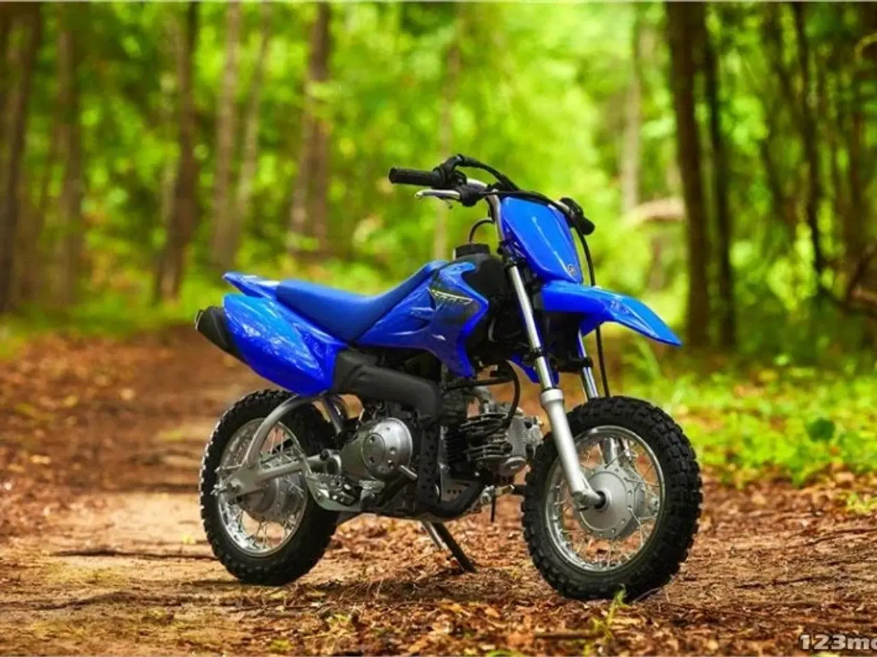 Billede 3 - Yamaha TT R50E