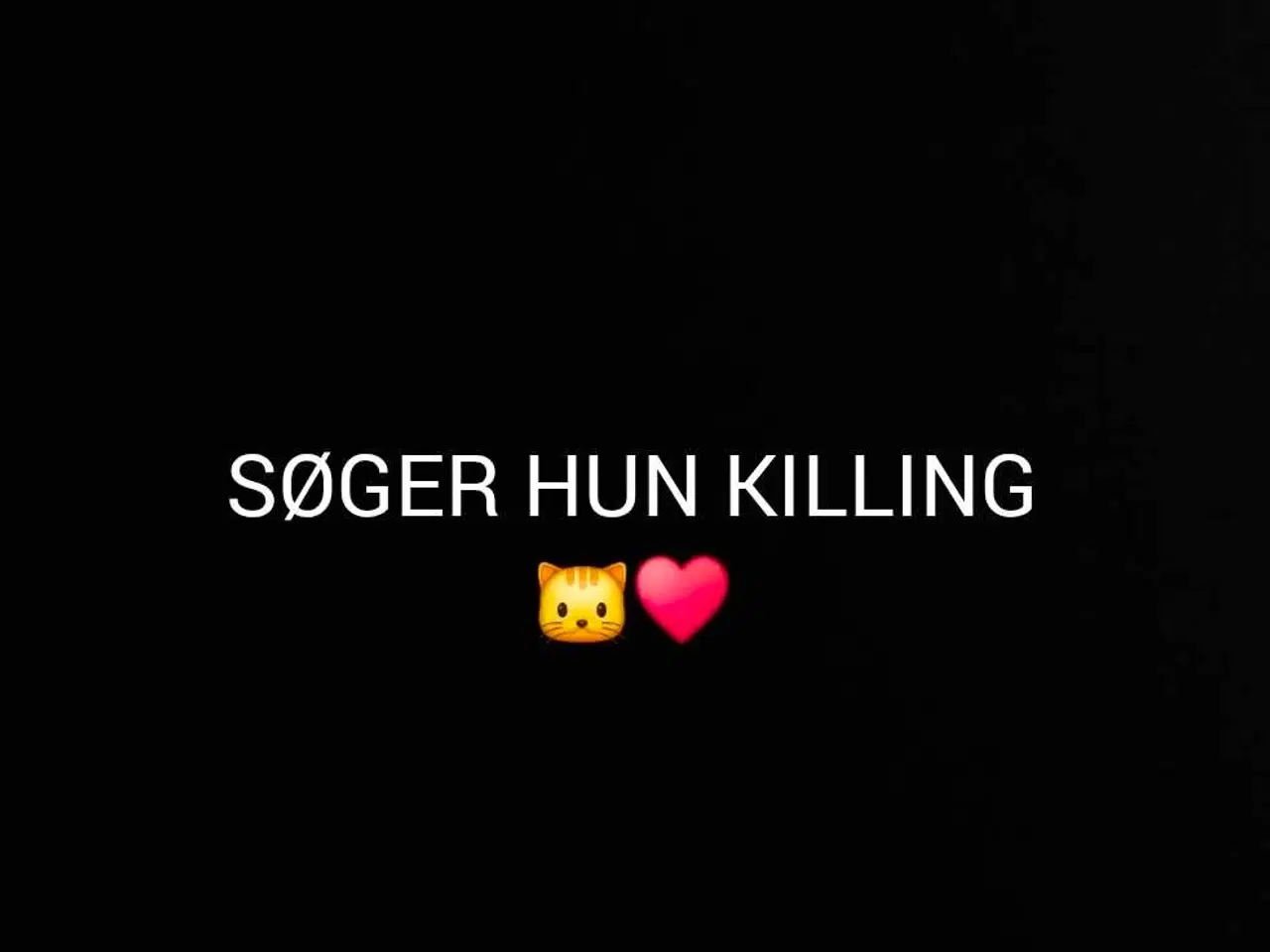 Billede 1 - SØGER HUN KILLING