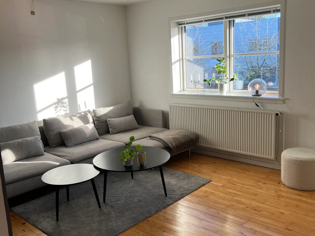 Billede 1 - Lille lys lejlighed til kun 495.000 DKK