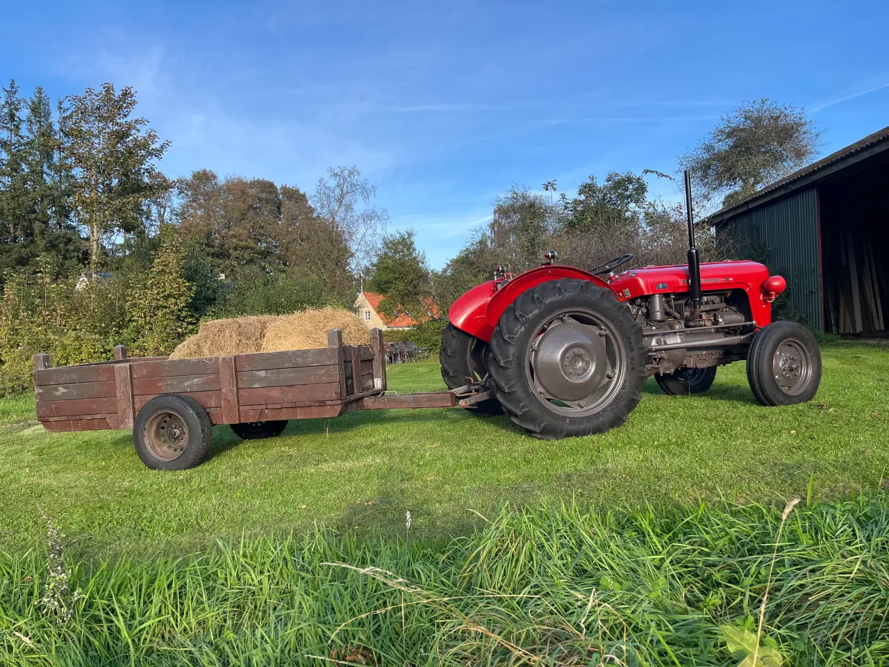 Billede 7 - Massey ferguson 35 benzin