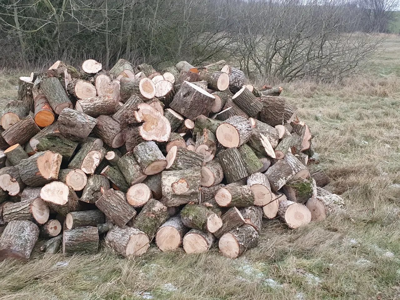 Billede 1 - Friskskovet brænde