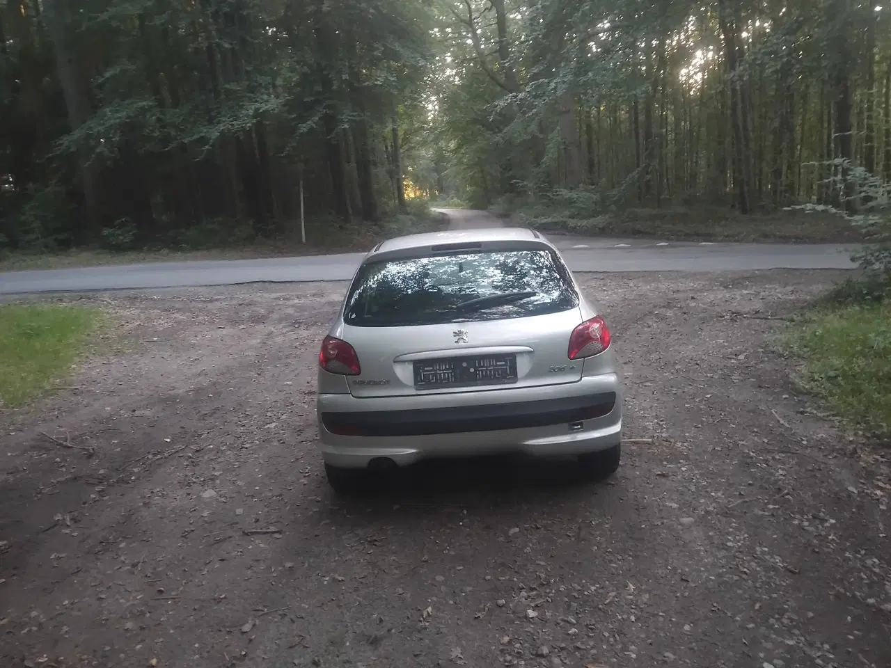 Billede 4 -  peugeot 206+ med partikelfilter 