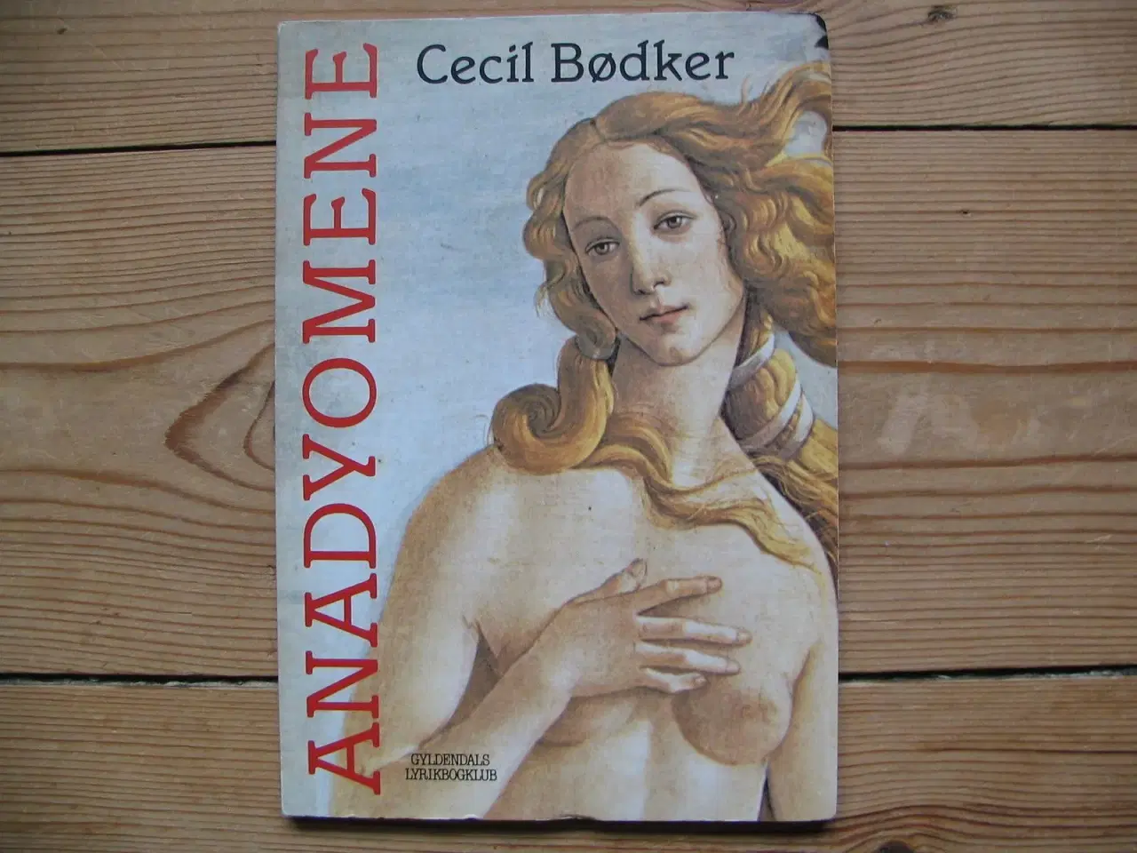 Billede 1 - Cecil Bødker. Anadyomene