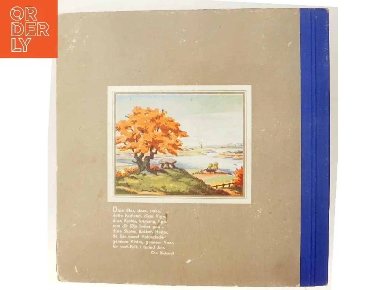 Billede 3 - Ud i vort skønne land af Chr. Richardt (Bog)