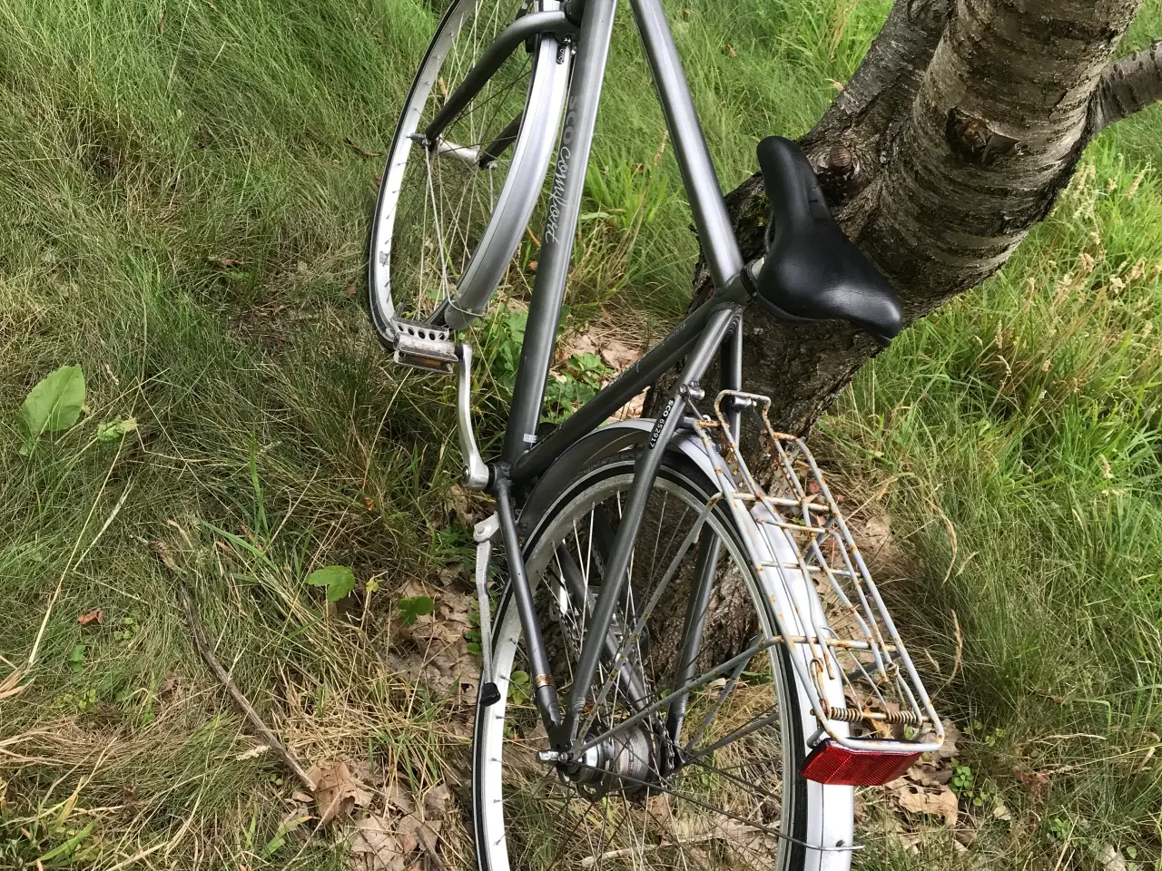 Billede 3 - Herrecykel SCO Comfort før 165-180cm