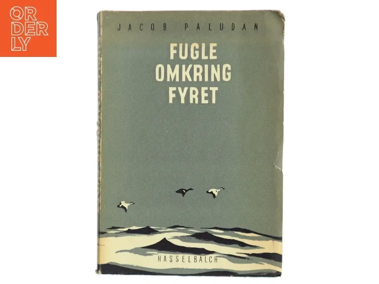 Billede 1 - Fugle omkring fyret af Jacob Paludan (Bog)