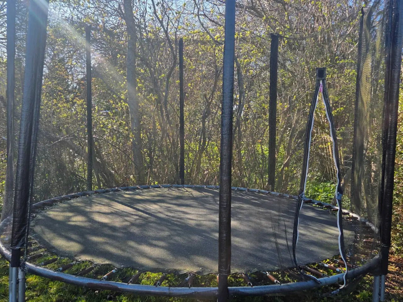 Billede 2 - Stor trampolin GRATIS 