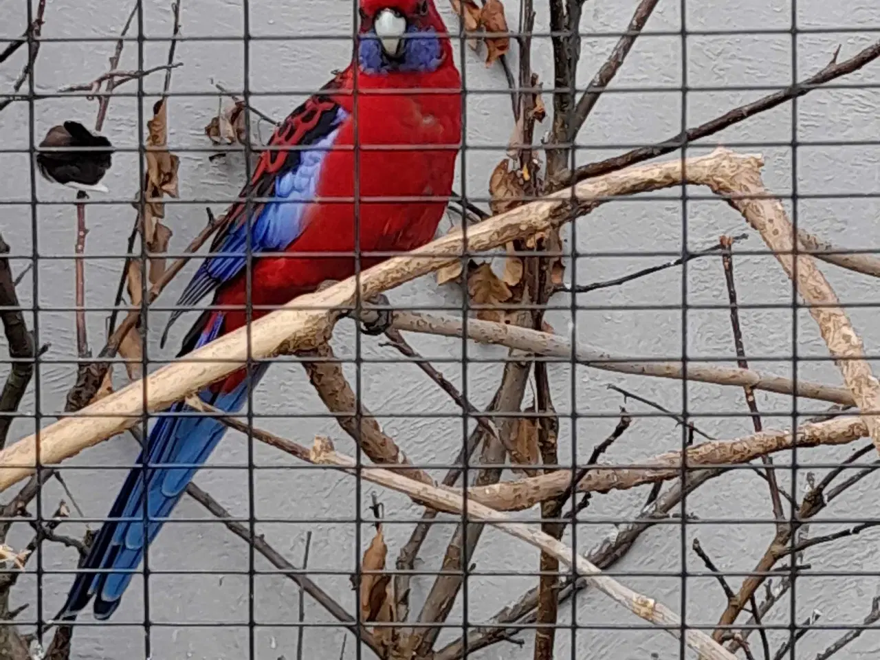 Billede 1 - Smukke penanter