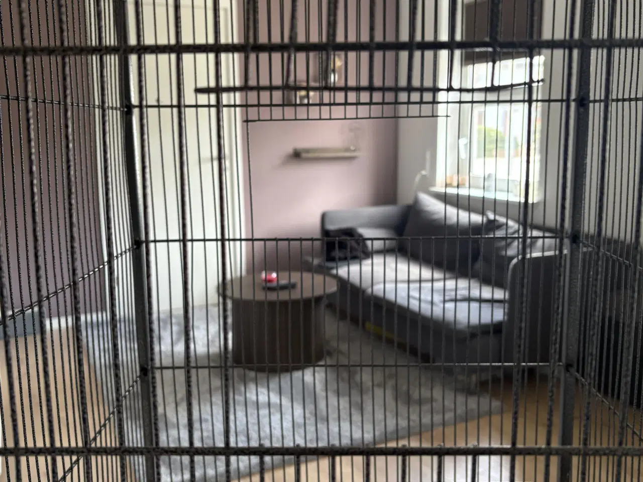 Billede 3 - Fuglebur