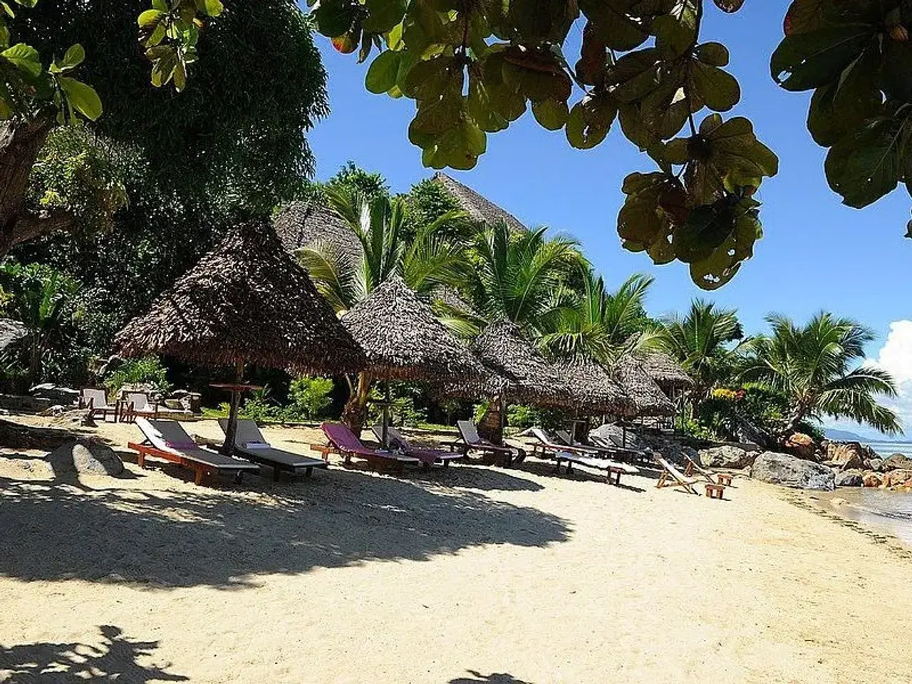 Billede 3 - Paradise Zanzibar