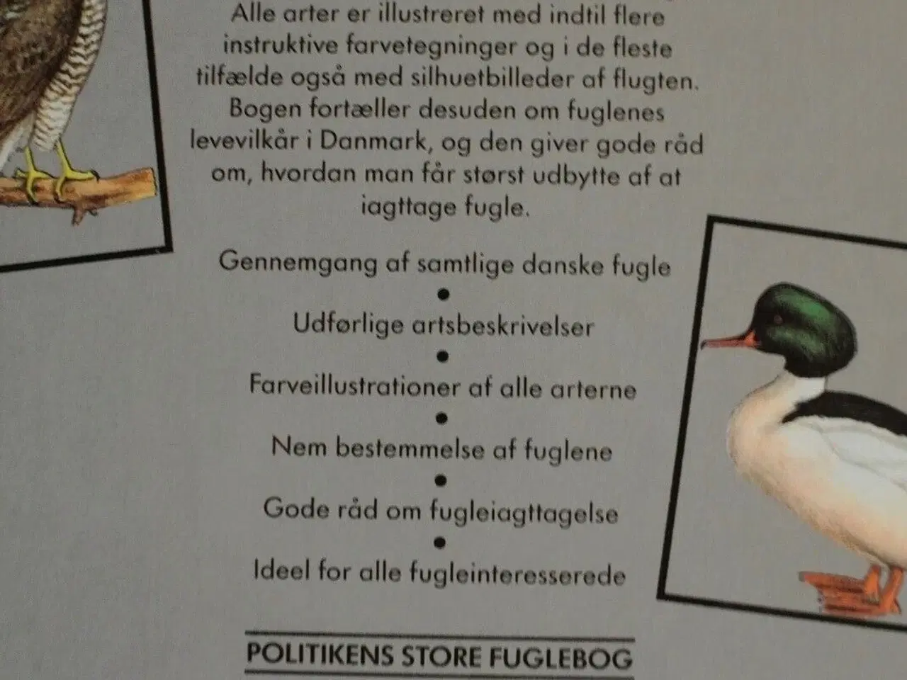 Billede 2 - politikens store fuglebog. 4. opl. samtlige danske