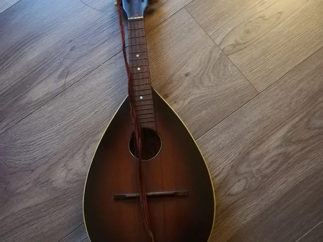 Billede 1 - Mandolin 