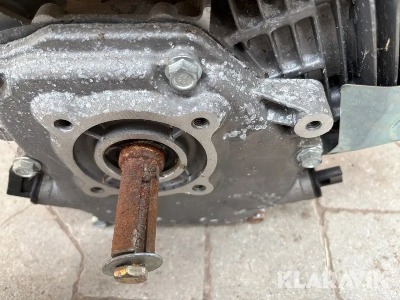 Billede 8 - Motor Primus 5.5hk
