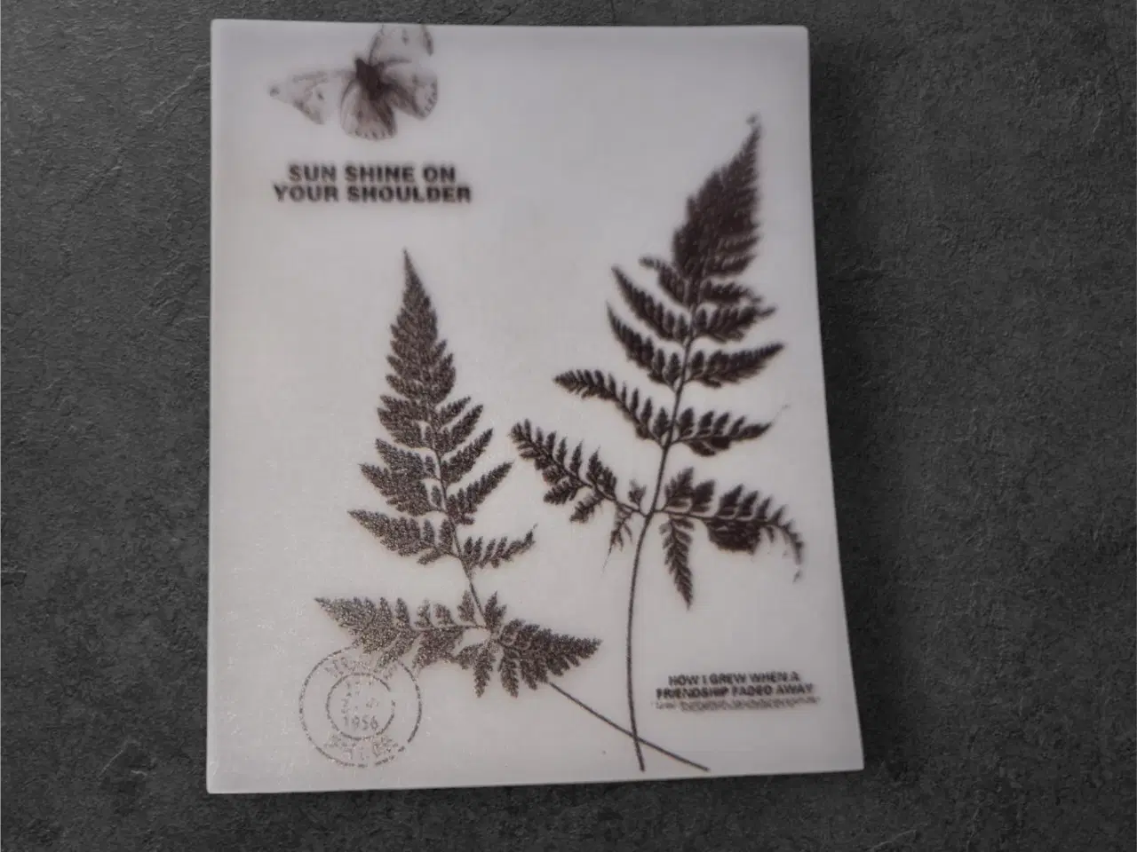 Billede 1 - Vintage papirark med bregner og sommerfugl