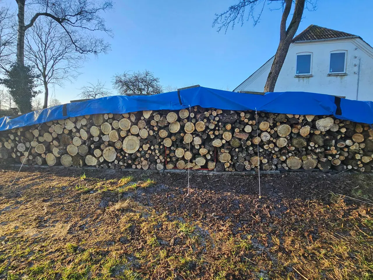 Billede 1 - Egetræ brænde 