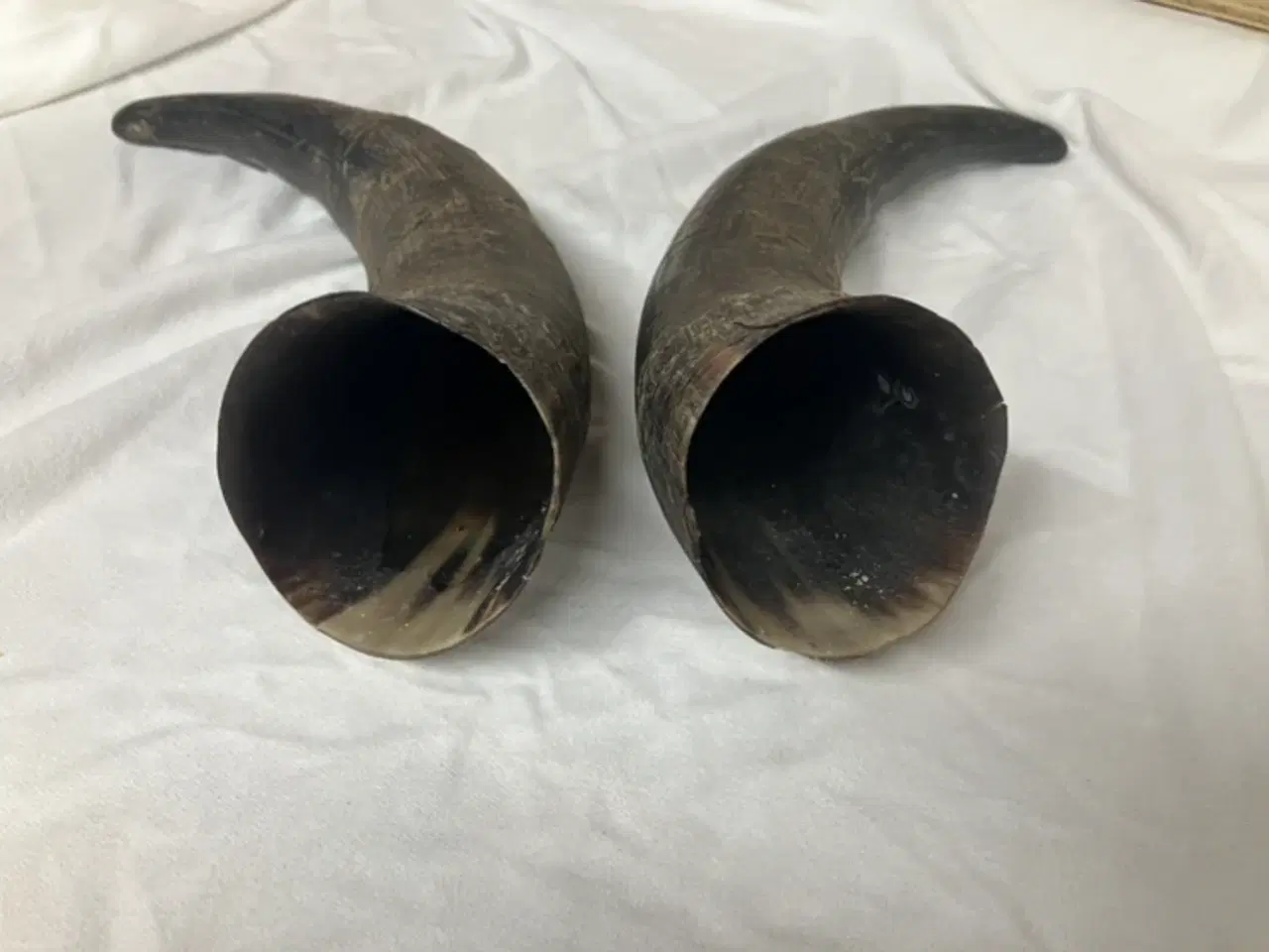 Billede 2 - Fine horn / kohorn 