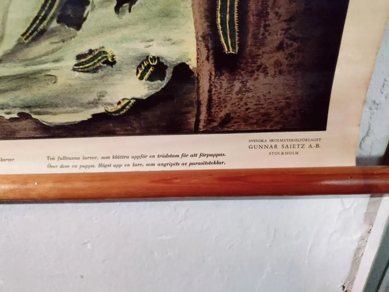 Billede 3 - fedt lille skolekort med sommerfugle