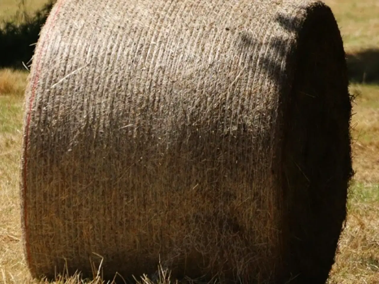 Billede 1 - Eng-hø i rundballer