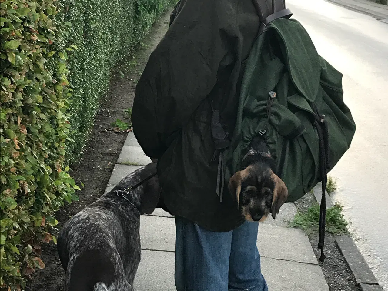 Billede 4 - Hunderygsæk