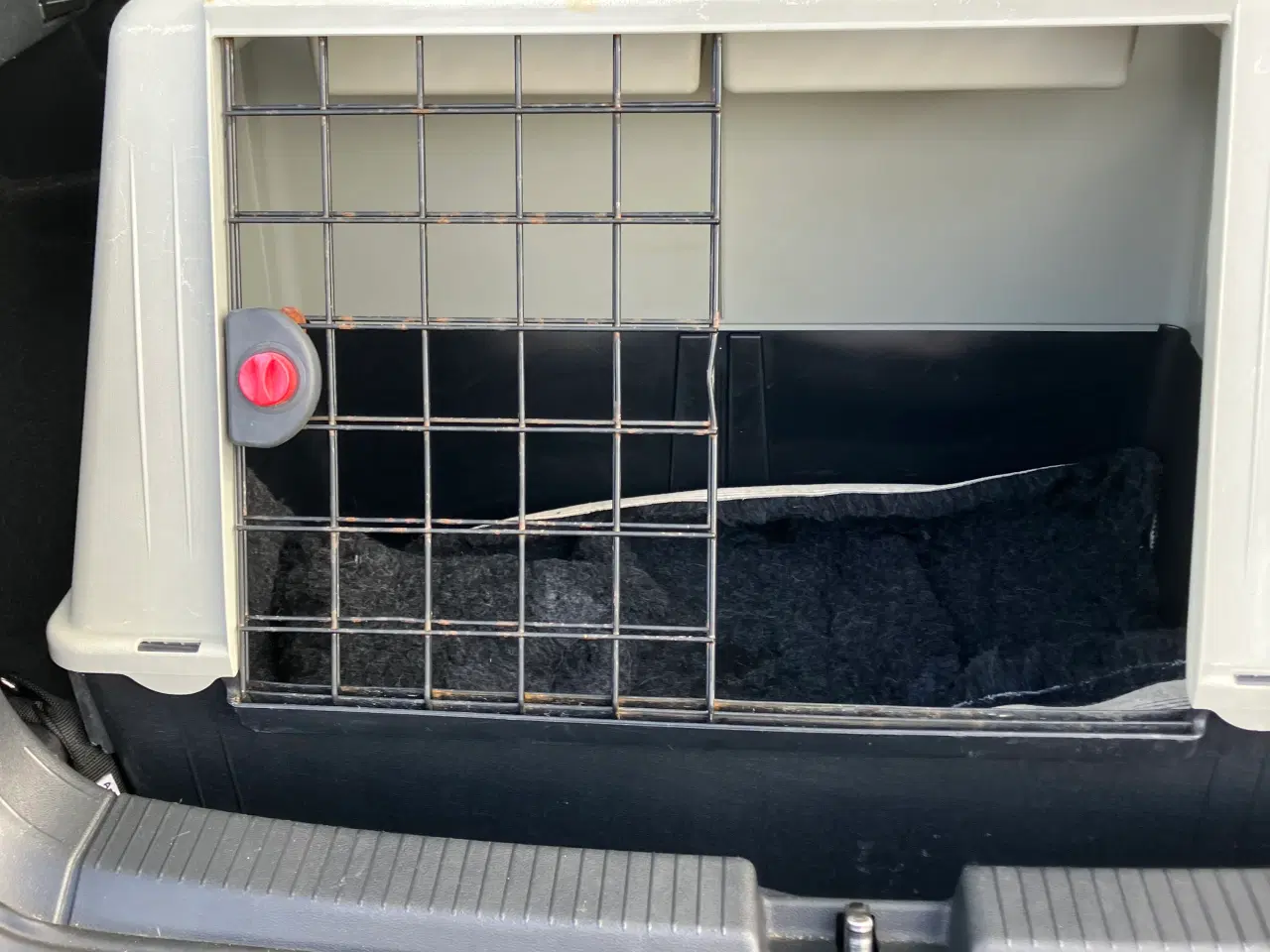 Billede 1 - Plast transportbur 76x43x51