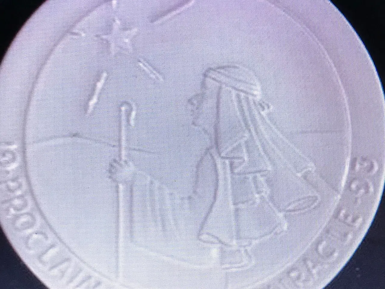 Billede 1 - KØBES FRANKOMA  Juleplatte 1993