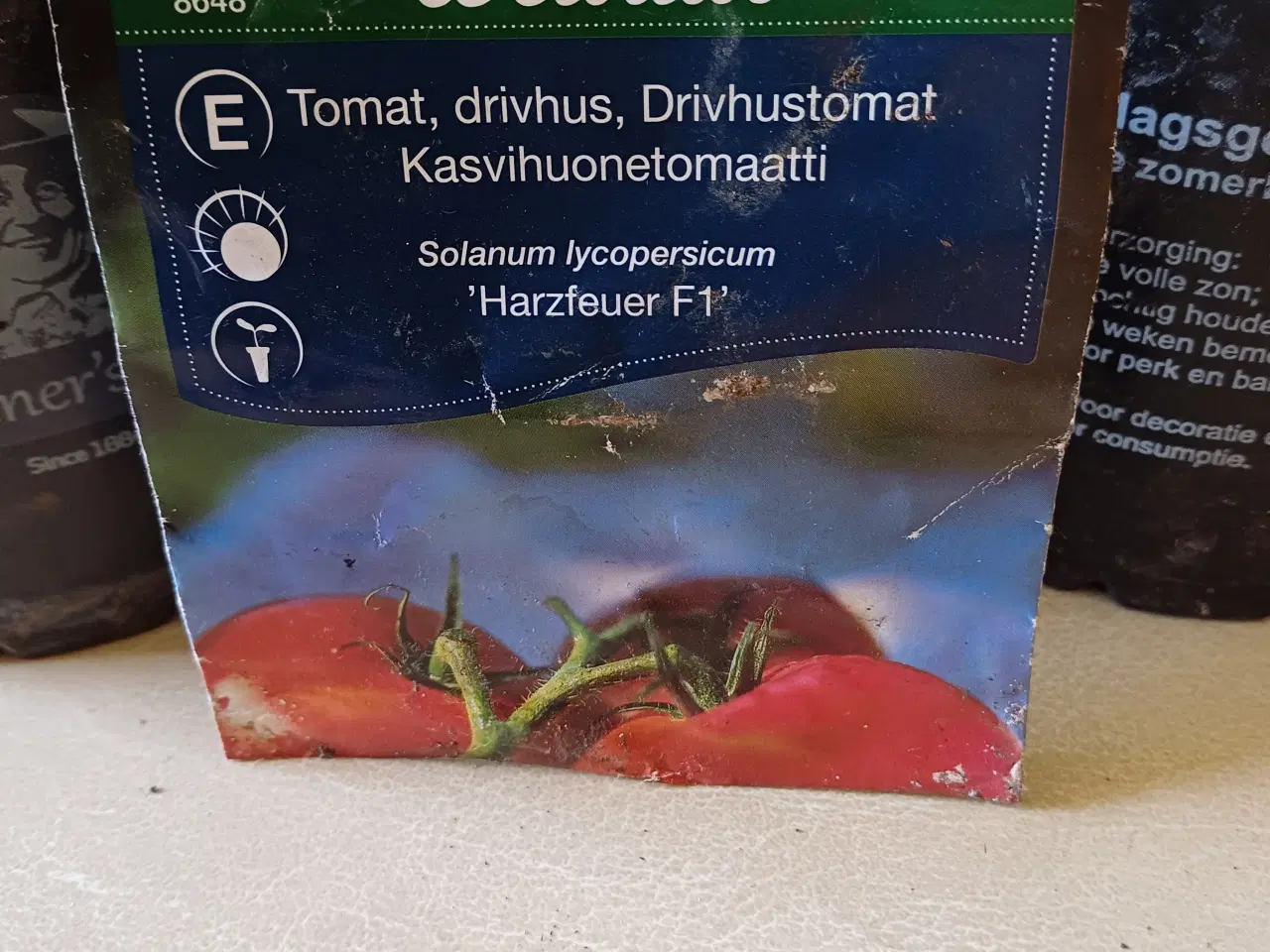 Billede 9 - Tomatplanter mange forskellige