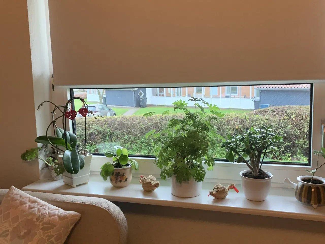 Billede 2 - 4 stk Faber rullegardiner som nye gi et bud 🧚