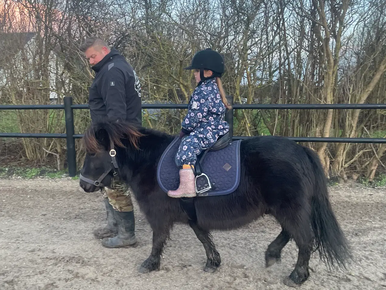 Billede 8 - Børnevenlig Shetlandspony