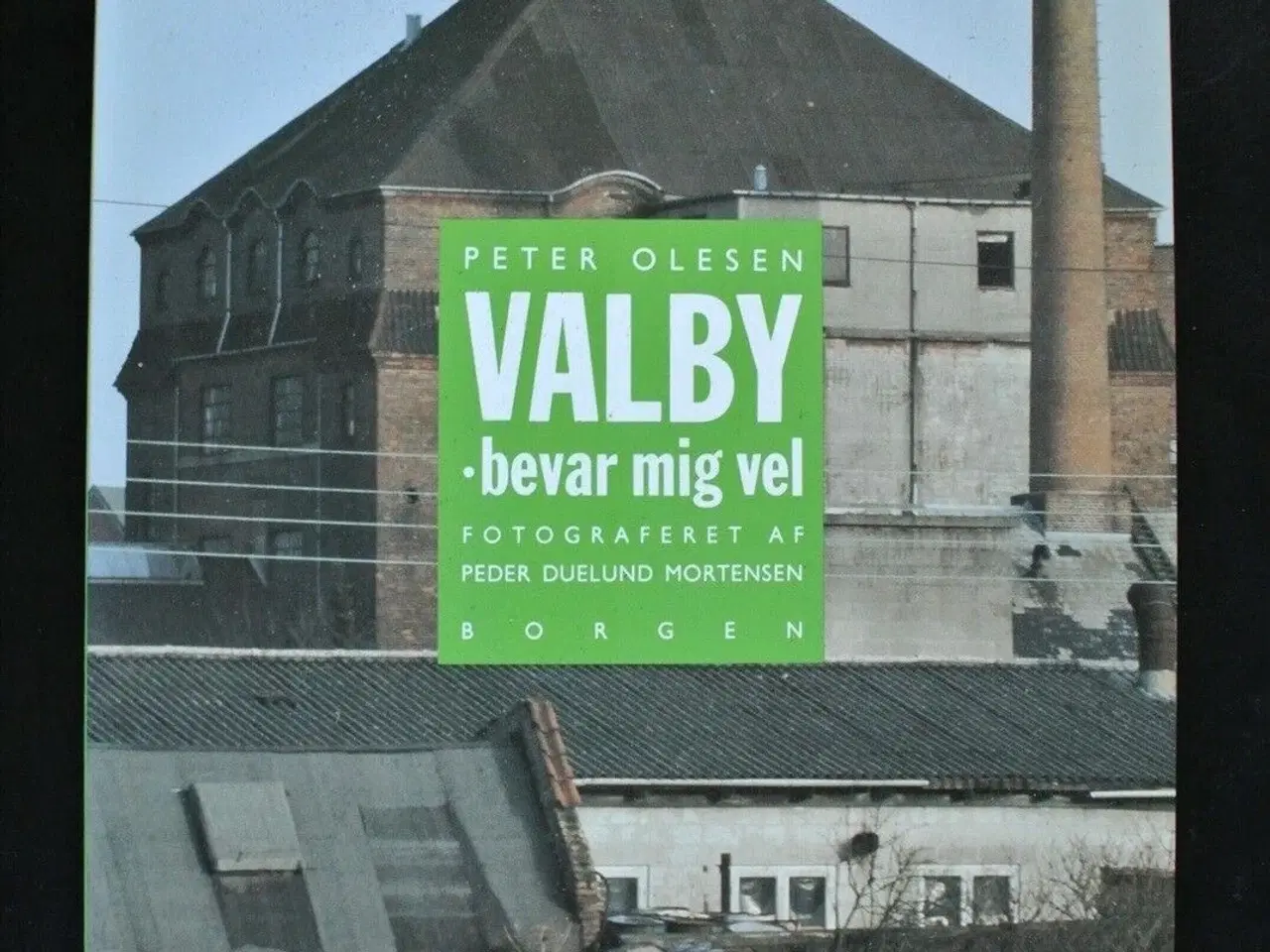 Billede 1 - valby - bevar mig vel, af peter olesen. foto af pe
