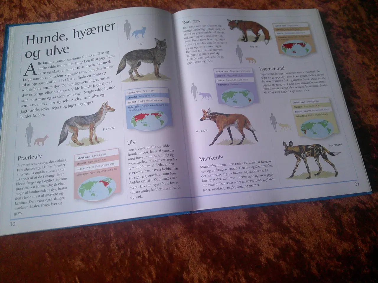 Billede 2 - Den store guide til alverdens dyr, Jinny Johnson, 