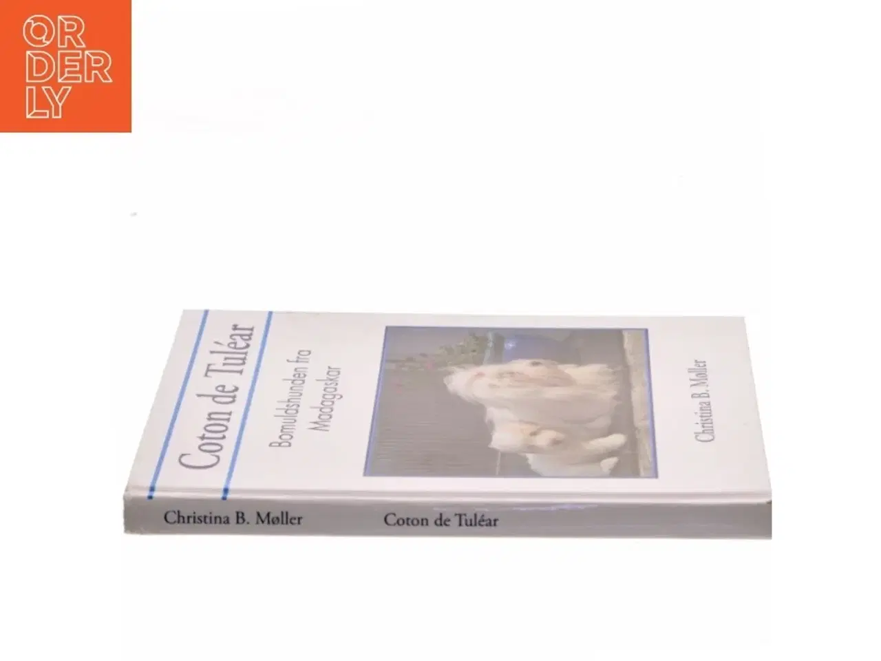 Billede 2 - Coton de Tuléar : bomuldshunden fra Madagaskar af Christina B. Møller (Bog)