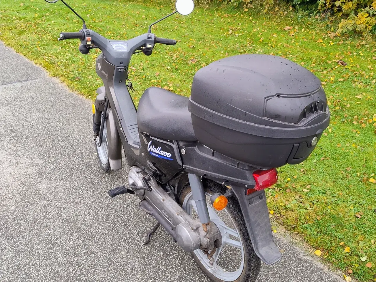 Billede 7 - Honda welleroo 30 knallert 