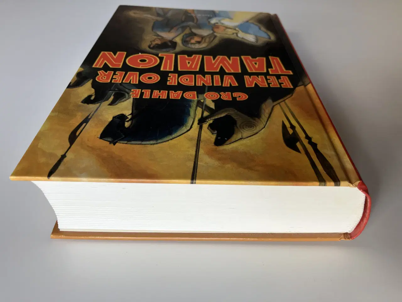 Billede 6 - Fem vinde over Tamalon. Af Gro Dahle