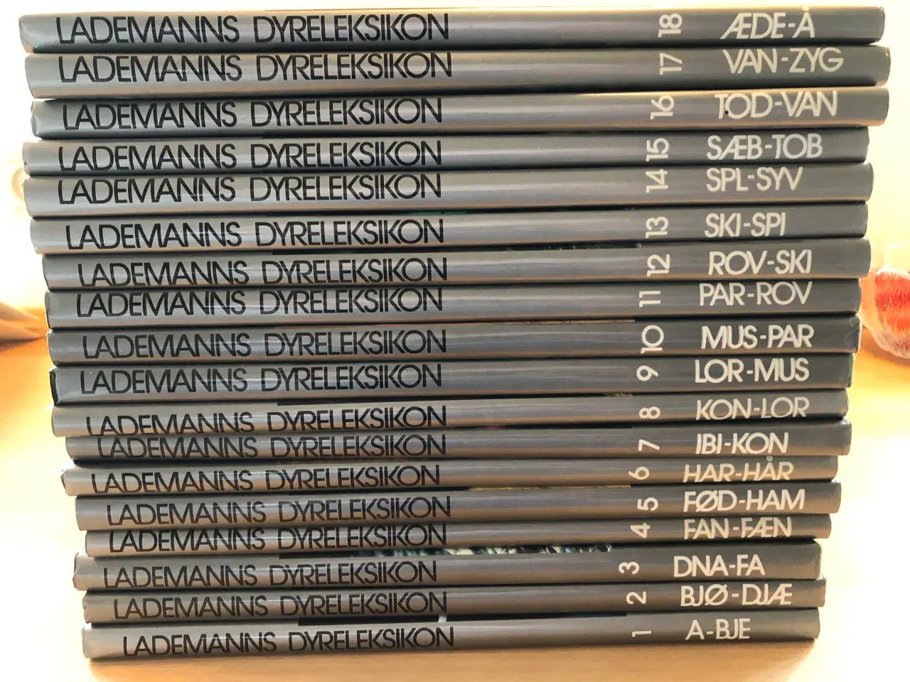 Billede 3 - Dyreleksikon