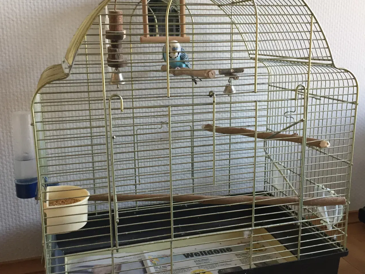 Billede 3 - Undulat med bur