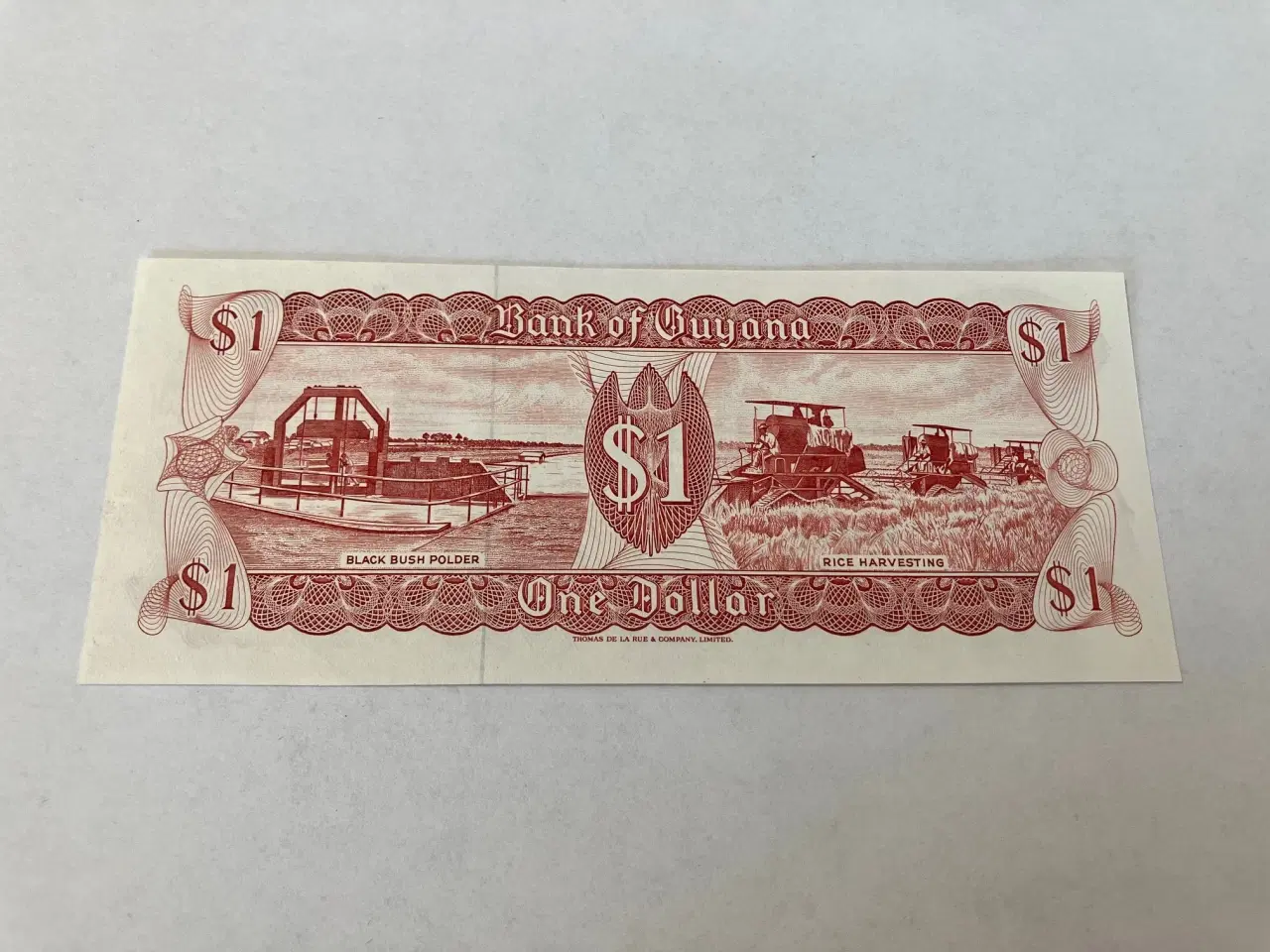 Billede 2 - 1 Dollar Guyana