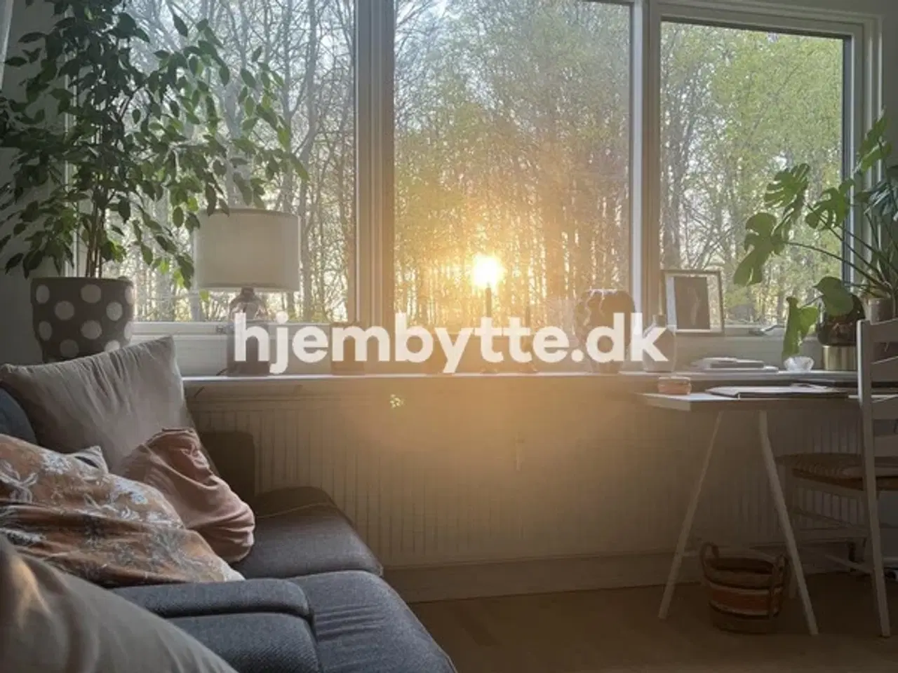 Billede 6 - Hjembytte - Fredskovhellet