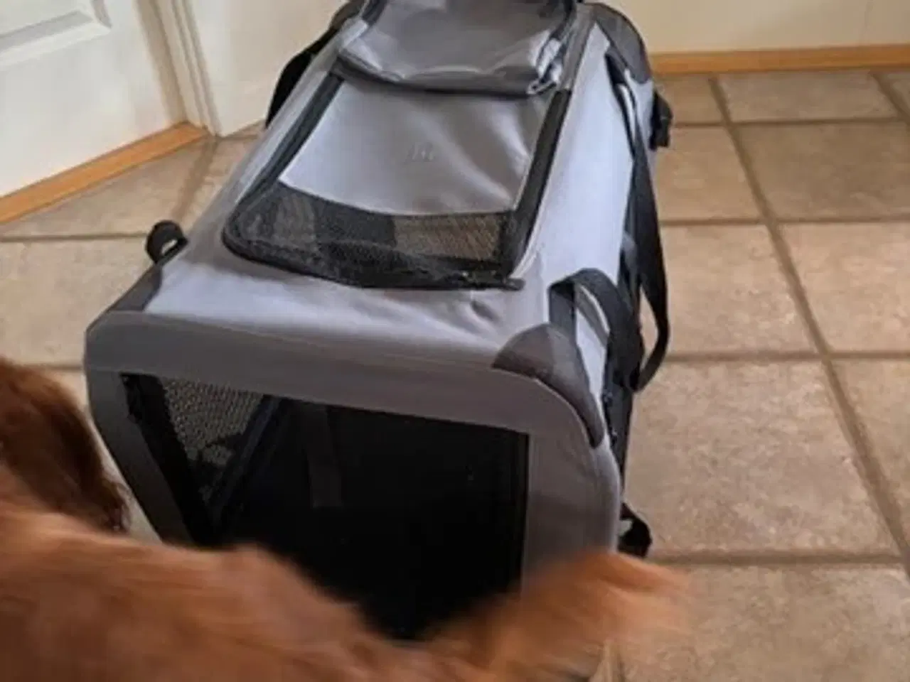 Billede 2 - Hunde Transporttaske 