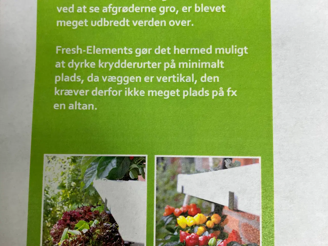 Billede 2 - Nyt Hydroponic/ plantevæg med selvvanding