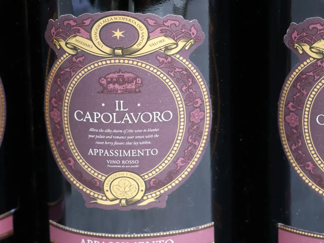 Billede 2 - 9 fl. IL CAPOLAVORO Appassimento 2015 Italien 75 c