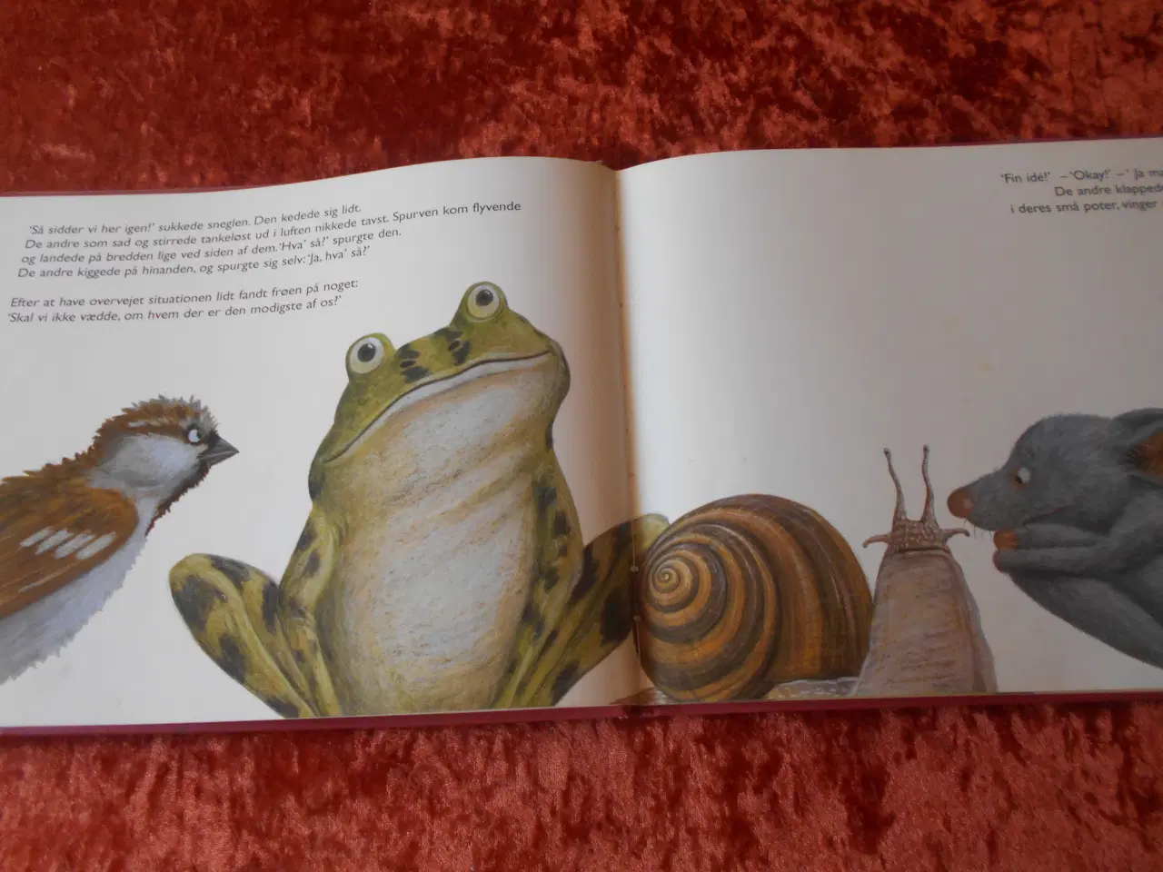 Billede 2 - Hvem er modigst?, Lorenz Pauli,